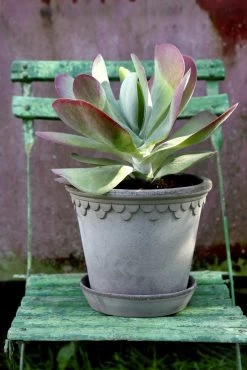 Bergs Potter Copenhagen Topf Grau, 30 Cm -Bergs Potter Store bergs potter copenhagen topf grau 3 1