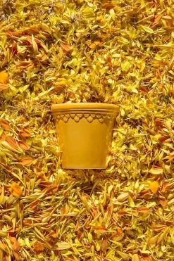 Bergs Potter Copenhagen Topf Mit Unterteller Gelb, Ø14 Cm -Bergs Potter Store bergs potter copenhagen topf mit unterteller gelb 1