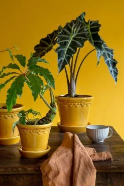 Bergs Potter Copenhagen Topf Mit Unterteller Gelb, Ø14 Cm -Bergs Potter Store bergs potter copenhagen topf mit unterteller gelb 4