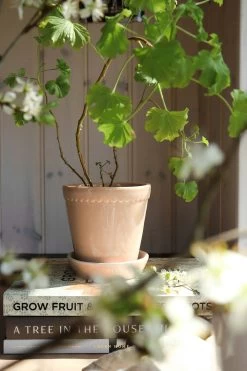 Bergs Potter Helena Topf Quartz Rose, 18 Cm -Bergs Potter Store bergs potter helena topf quartz rose 10