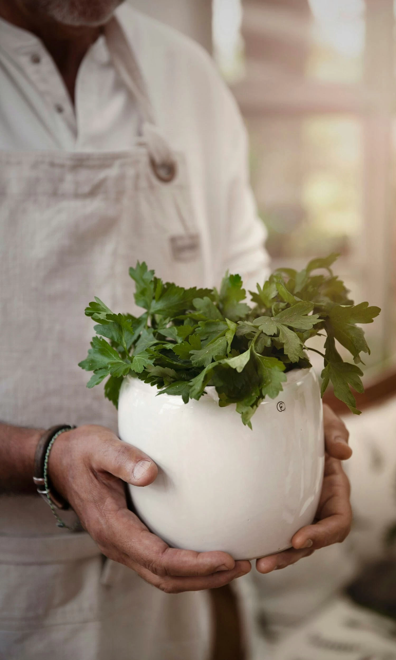 Ernst Topf Steingut Glasiert Ø22,5 Cm, Weiß 4 Ernst Topf Steingut Glasiert Ø22,5 Cm, Weiß – Bild 2