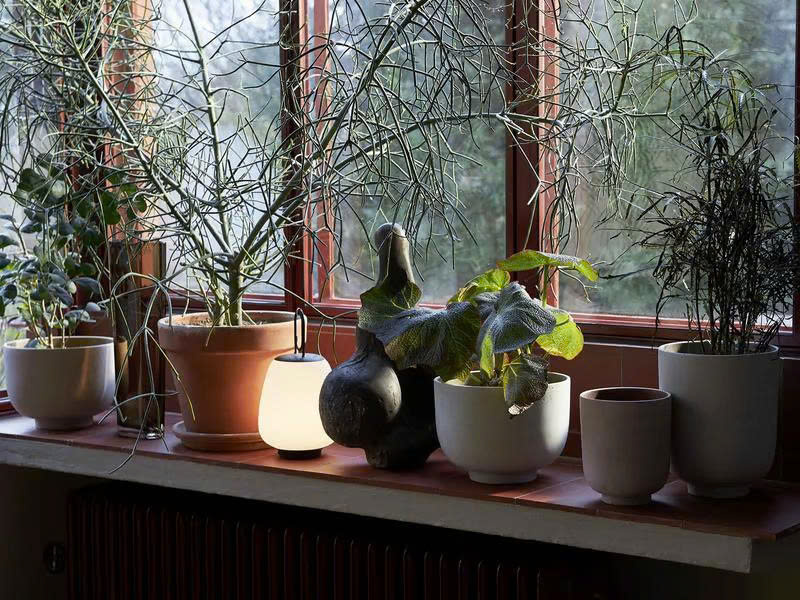 Bergs Potter Store -Bergs Potter Store z6644028582652 40e9a5d2e52b46daf890c88e458ea34e